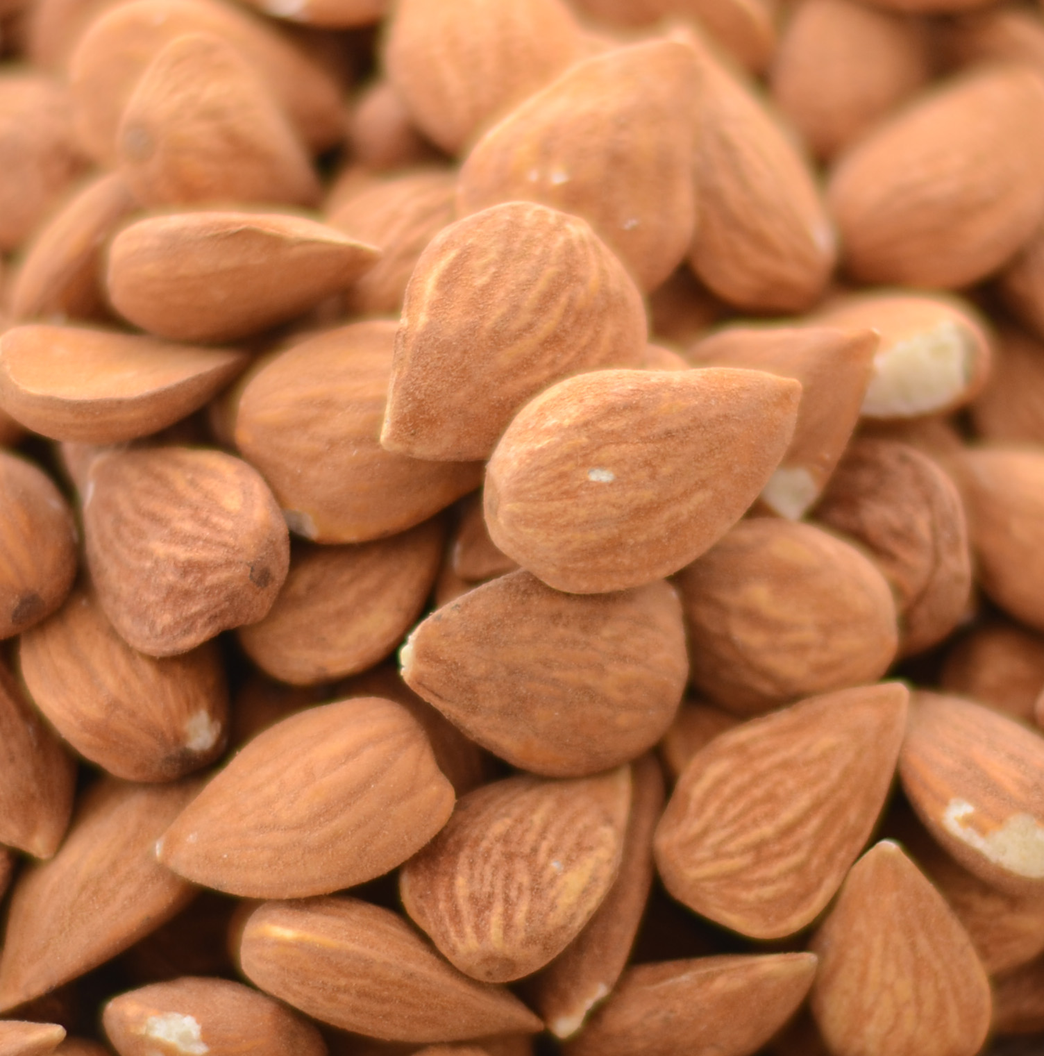 Almendras Fornes